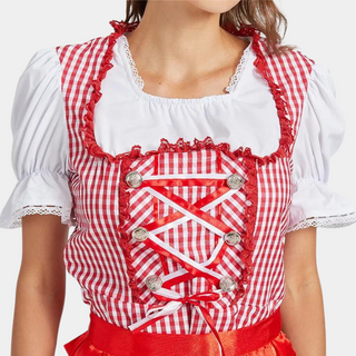 Damen Oktoberfest Dirndl Kleid Mit Satin Schürze & Karomuster | 2025