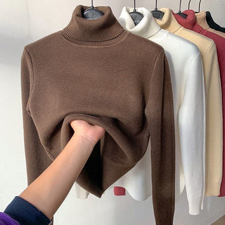 Damen Strickpullover Mit Rollkragen & Langarm